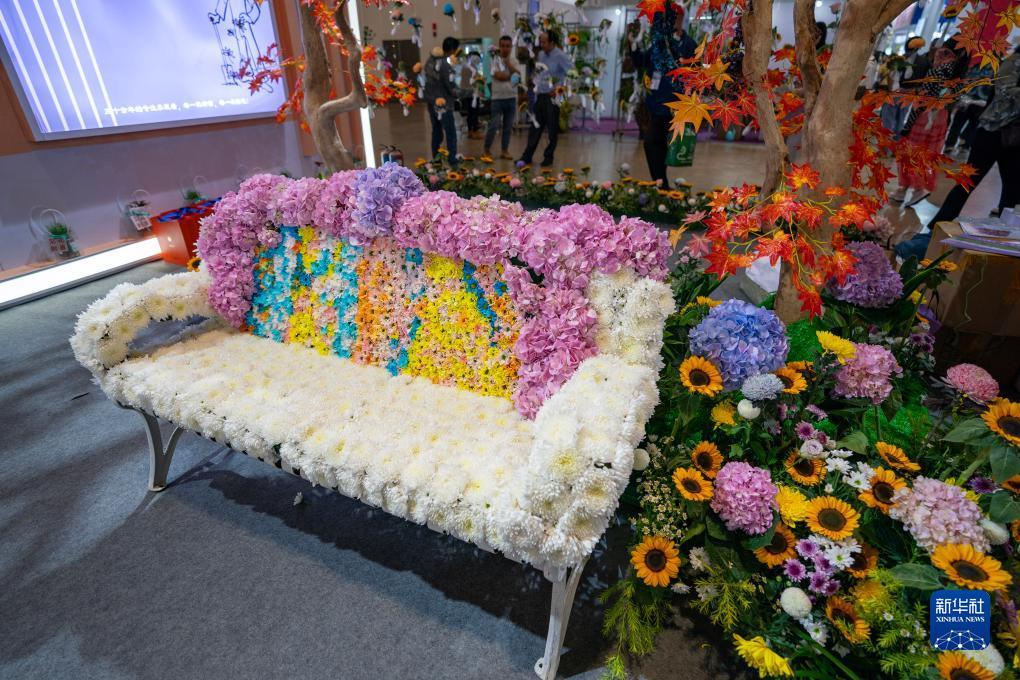 金钱豹相信您的选择